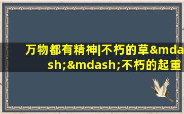 万物都有精神|不朽的草——不朽的起重机草